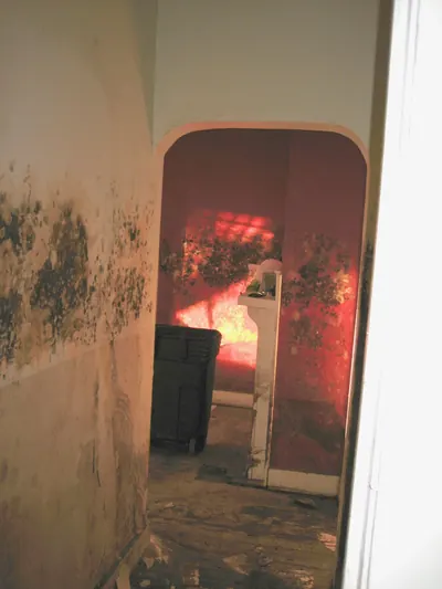 Hallway walls stained with dark mold after flooding